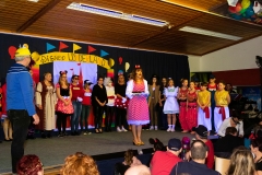 TSV_Fasching_2019_010