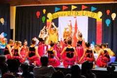 TSV_Fasching_2019_016