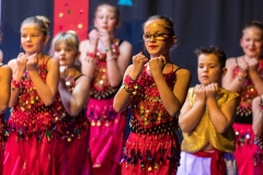 TSV_Fasching_2019_022