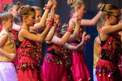 TSV_Fasching_2019_023