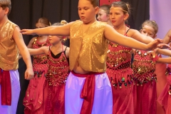 TSV_Fasching_2019_024