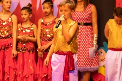 TSV_Fasching_2019_032