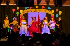 TSV_Fasching_2019_077