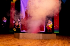 TSV_Fasching_2019_118