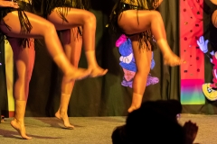 TSV_Fasching_2019_148