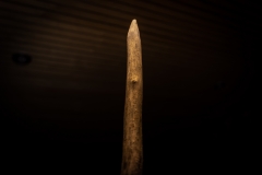 TSV_Fasching_2019_155