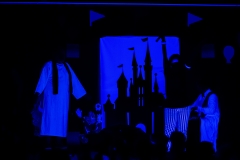 TSV_Fasching_2019_215