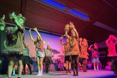 28_14.2.2025_Prosselsheim_40-Jahre-Fasching-Safari-Party-Go-Wild