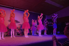 29_14.2.2025_Prosselsheim_40-Jahre-Fasching-Safari-Party-Go-Wild
