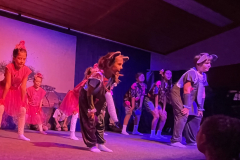 30_14.2.2025_Prosselsheim_40-Jahre-Fasching-Safari-Party-Go-Wild