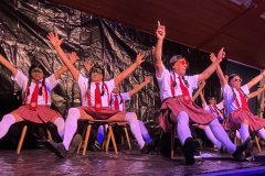 56_14.2.2025_Prosselsheim_40-Jahre-Fasching-Safari-Party-Go-Wild