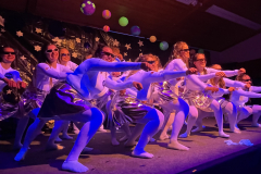70_14.2.2025_Prosselsheim_40-Jahre-Fasching-Safari-Party-Go-Wild