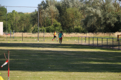 IMG_6461